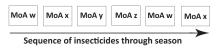 Sequence of Insecticides through season