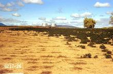 Image related to Mint-Redbacked cutworm