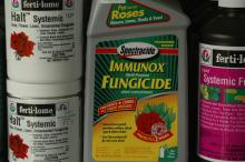 Fungicide