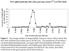 Image related to Grass for Seed-Barley Yellow Dwarf