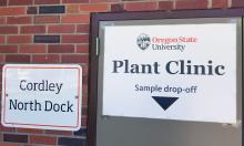 Plant Disease Clinic Drop Off