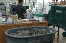 Dumped pots in a large bin near seeding machine operated a person