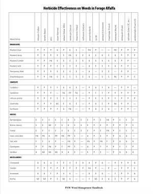 Herbicide Effectiveness on Weeds in Forage Alfalfa table