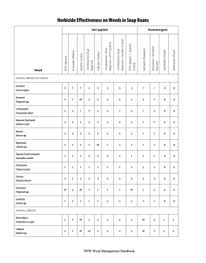 Herbicide Effectiveness on Weeds in Snap Beans table