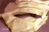 Image related to Corn, sweet-Slug