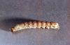 Image related to Potato, Irish-Cutworm and armyworm