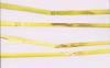 Image related to Wheat (Triticum aestivum)-Cephalosporium Stripe